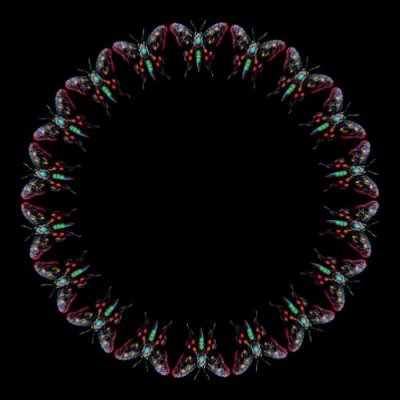 Moth 2 round preview