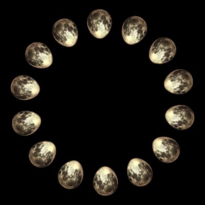 full moon FINED round preview