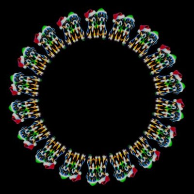 Christmas puppies round preview