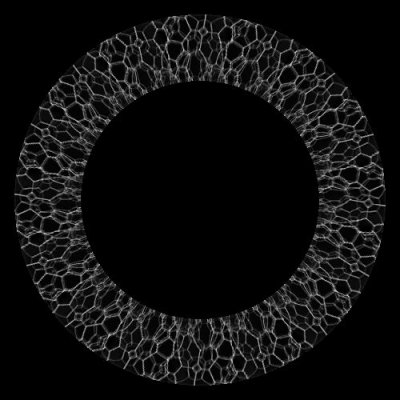 crazy bubbles round preview