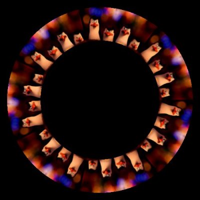 Those pesky penguins round preview