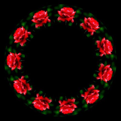 roseingreen round preview