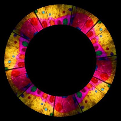 yellowndots round preview