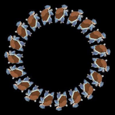 Blastoise round preview