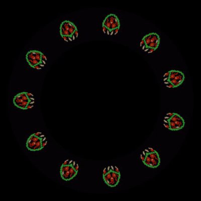 Metroid round preview