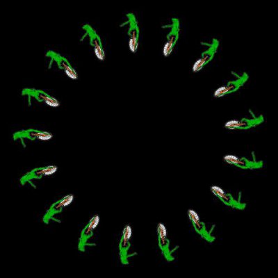 Dat Boi round preview